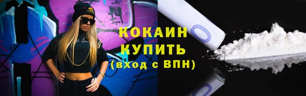твердый Абаза