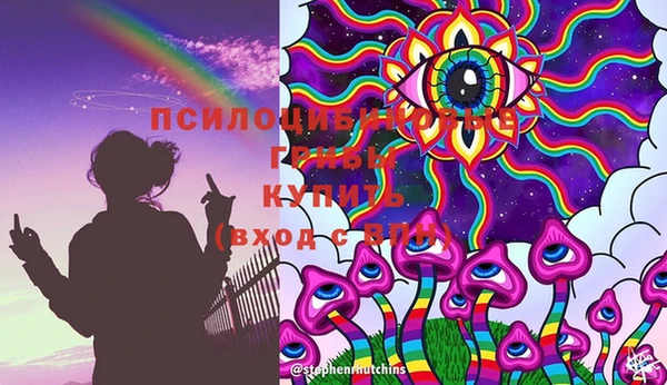 твердый Абаза