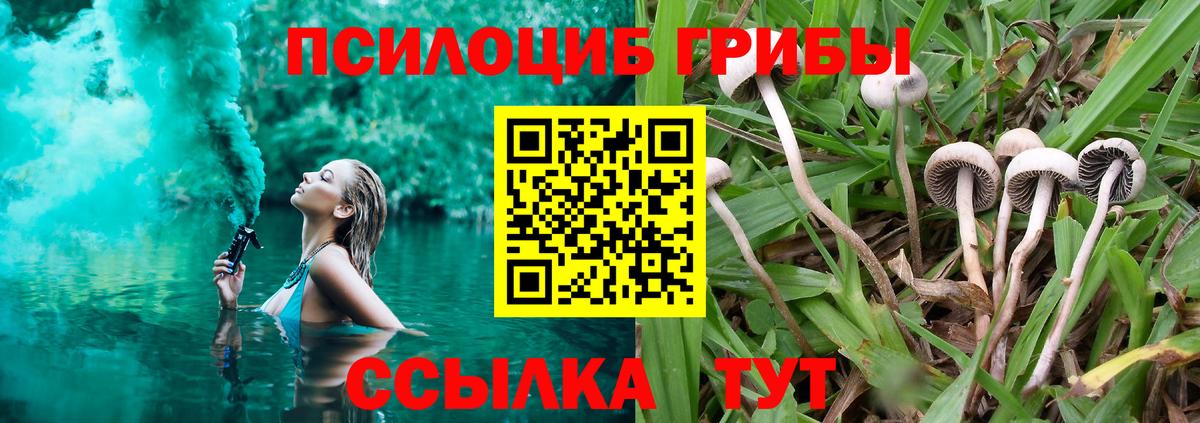 Знаменск  Галлюциногенные грибы Magic Shrooms  Вход с VPN  Галлюциногенные грибы GOLDEN TEACHER 